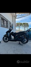 Sh 350 sport