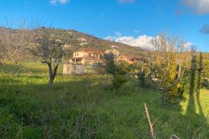 Terreno pianeggiante