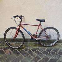 bicicletta Mountain bike