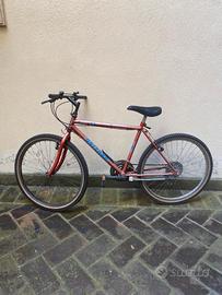 bicicletta Mountain bike