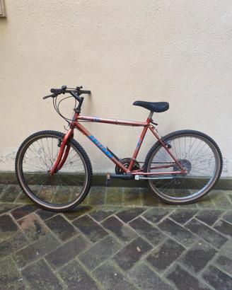 bicicletta Mountain bike