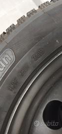 gomme invernali 