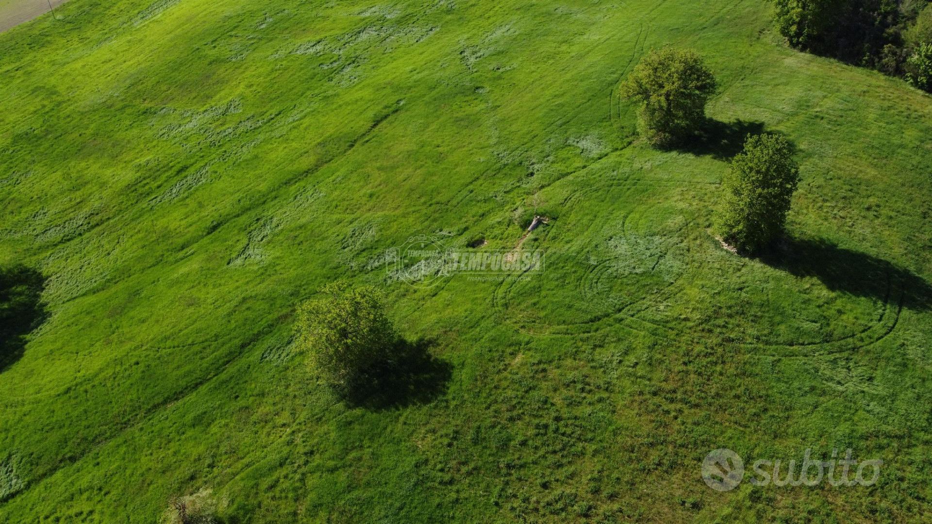 Terreno agricolo di 10 ettari seminativi - Vista 5