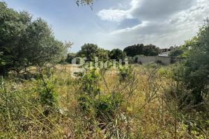 Terreno Residenziale Telti [Cod. rif 3147973VRG]