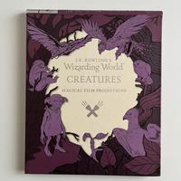 Libro Harry Potter