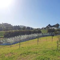 Castelnuovo terreno con eventuale elicicoltura