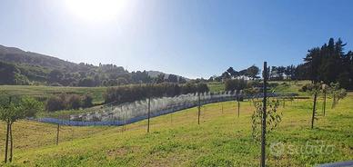 Castelnuovo terreno con eventuale elicicoltura