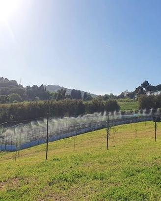 Rif.763 Castelnuovo terreno eventuale elicicoltura