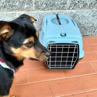 trasportino x piccoli animali
