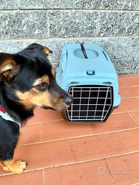 trasportino x piccoli animali