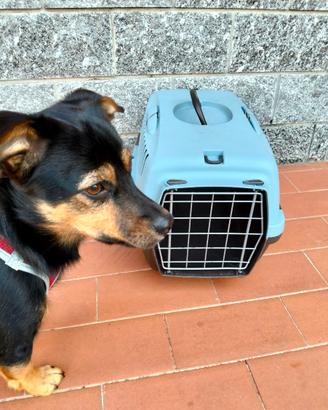 trasportino x piccoli animali