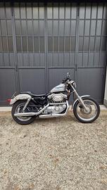Harley davidson sportster 883