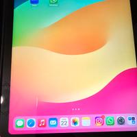 iPad A2696 Rosa 10th Generazione Wi-Fi 64gb