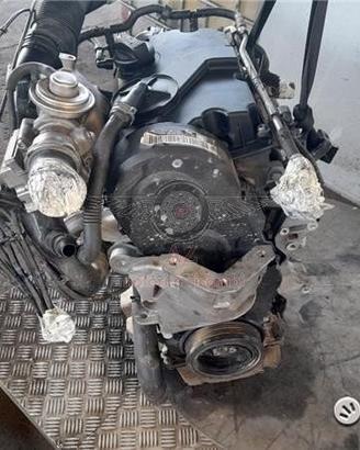 Volkswagen polo - bwb