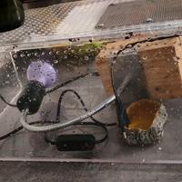 teca e accessori per geko