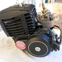 Motore Fantic Ranner