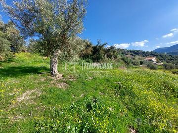 TERRENO DI UN ETTARO CON RUDERE A PATTI.