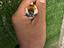Immagine 3