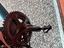 Immagine 3