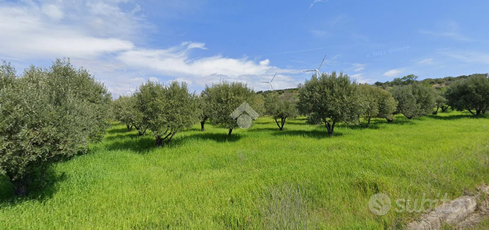 TER. AGRICOLO A TARSIA - Altro