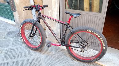 Fat bike