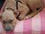 Immagine 3