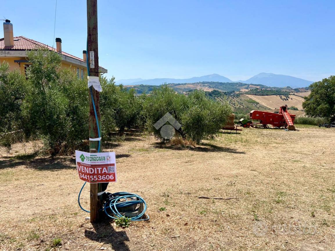 TER. AGRICOLO A MOSCIANO SANT'ANGELO - Vista 5