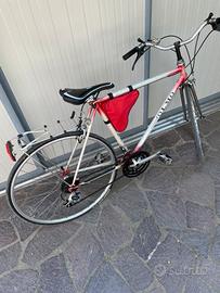 Bici turistica da passeggio