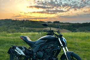 Benelli 502c - tagliandato - patente A2