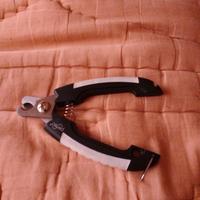 Forbici per unghie cani