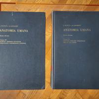 Testut Latarjet - tomi III e IV (Sistema Nervoso)