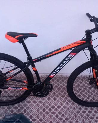 Bicicletta