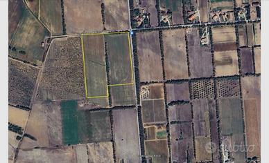 Terreno agricolo - Zona Porto Ferro