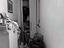 Immagine 13