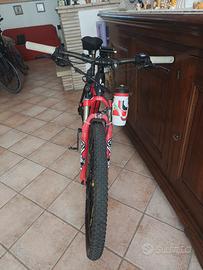  mtb trasformata in e-bike 