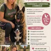 Dogsitter professionale