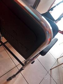 Sedia a rotelle