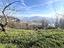 Immagine 16