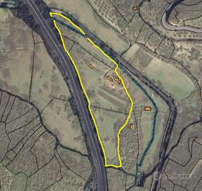 Terreno con annessi fabbricati