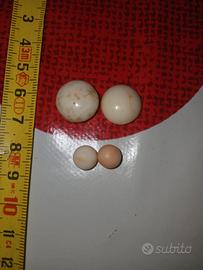 Corallo antico