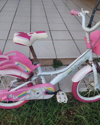 Bicicletta bambina 4-6 anni