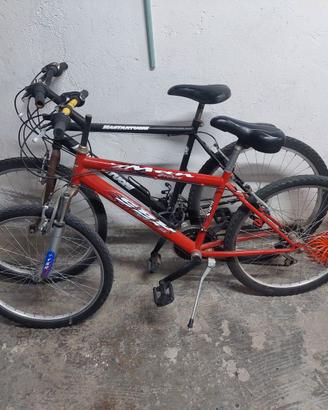 Mountain bike