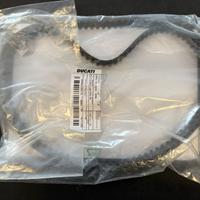 Cinghia distribuzione Ducati 73740341A