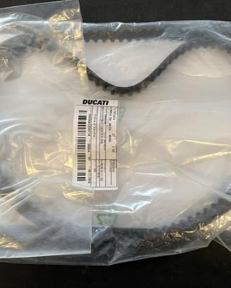 Ricambi cinghie varie Ducati