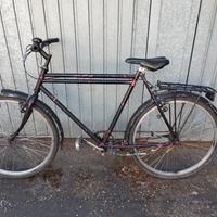 bici da carico doppia canna