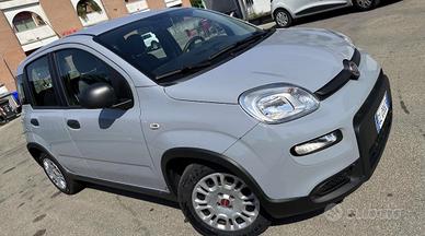 Fiat Panda 1.0 firefly hybrid s&s 70cv 5p.ti
