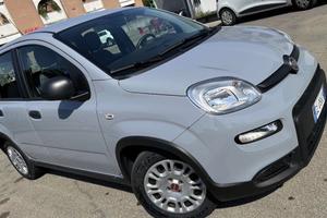 Fiat Panda 1.0 firefly hybrid s&s 70cv 5p.ti