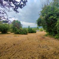 Rif.25 Castel Gandolfo Terreno Agricolo Castelli