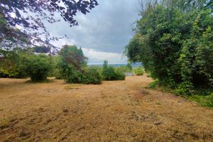 Rif.25 Castel Gandolfo Terreno Agricolo Castelli