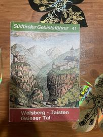 Südtiroler Gebietsführer 41